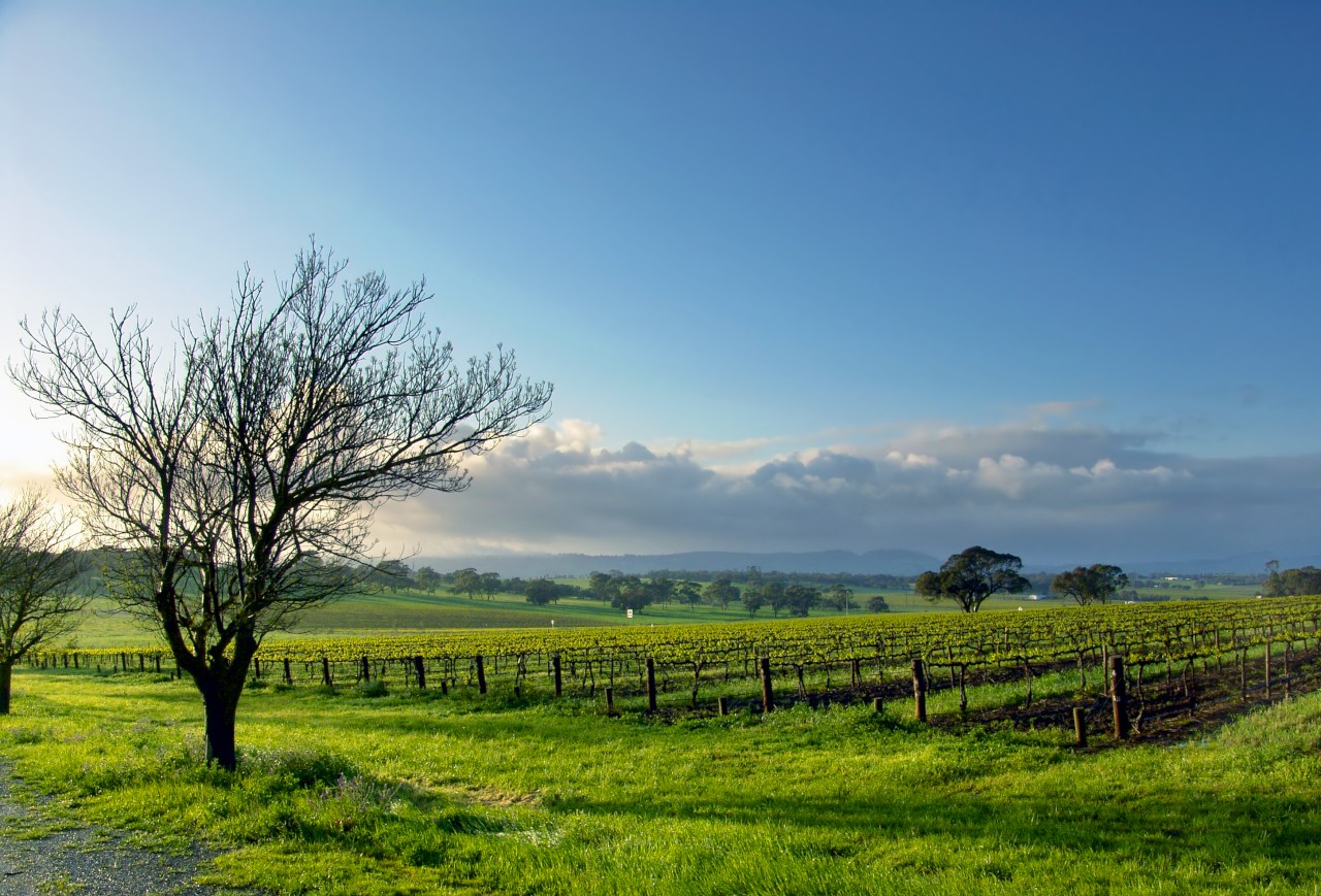 The Clare Valley South Australia